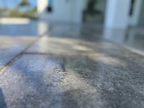 Paver Tile — Before Cleaning
