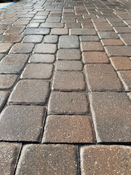 Paver Cleaning Close-Up