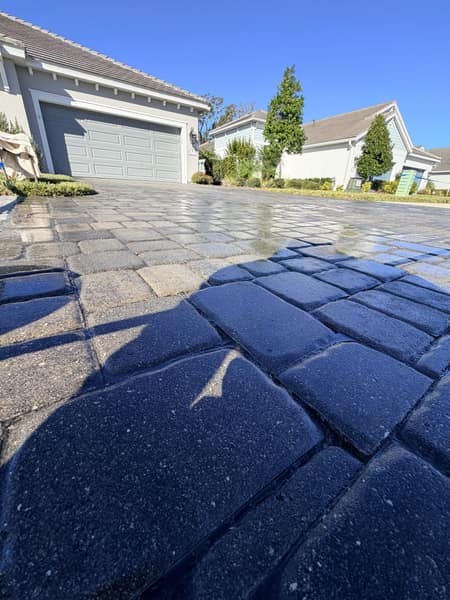 Paver Driveway Cleaning
