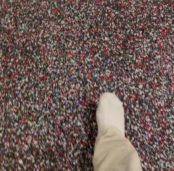 Finished Flake Epoxy Floor video